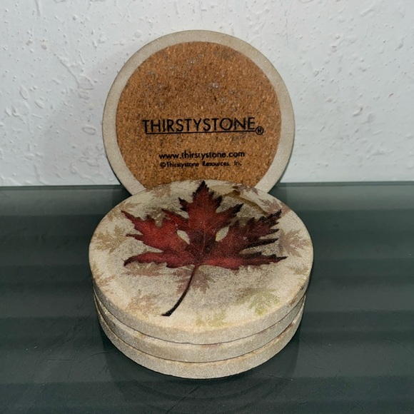 Thirstystone Fall coasters - Picture 1 of 4